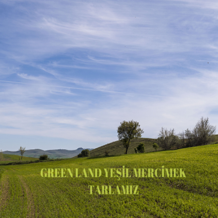 Yeşil Mercimek kategorisi için resim
