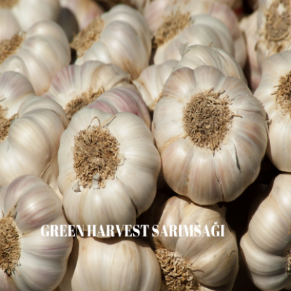 Taşköprü Sarımsağı 1 Kg