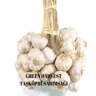 Taşköprü Sarımsağı 1 Kg