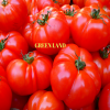 Beylerbeyi domates 1 kg