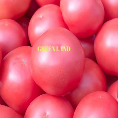 Pembe Domates