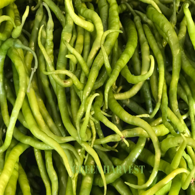 Tatlı Kıl Biber 1kg