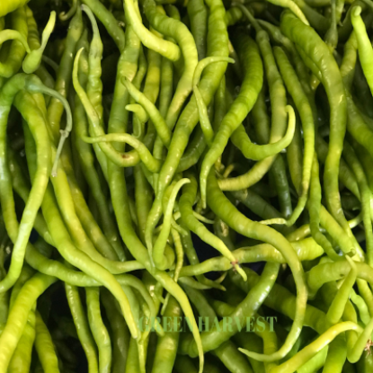 Tatlı Kıl Biber 1kg
