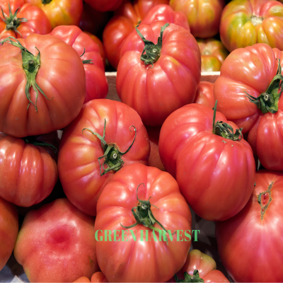 Pembe Domates 1kg